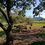 شقة An Der Kapelle *