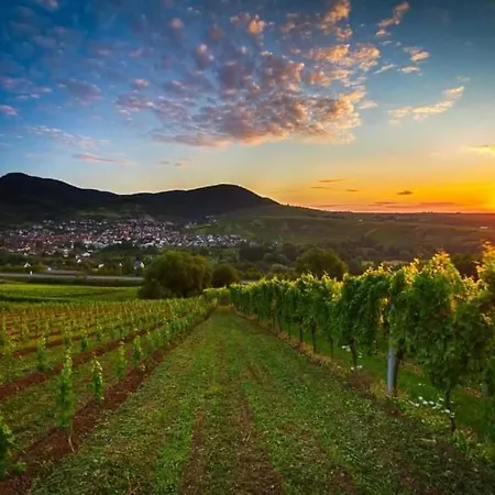 An Der Kapelle Apartment Annweiler am Trifels