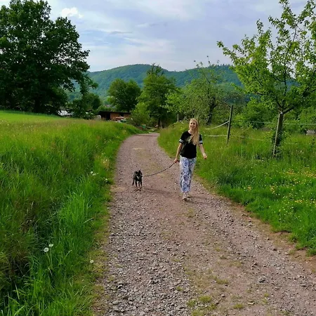 An Der Kapelle Annweiler am Trifels