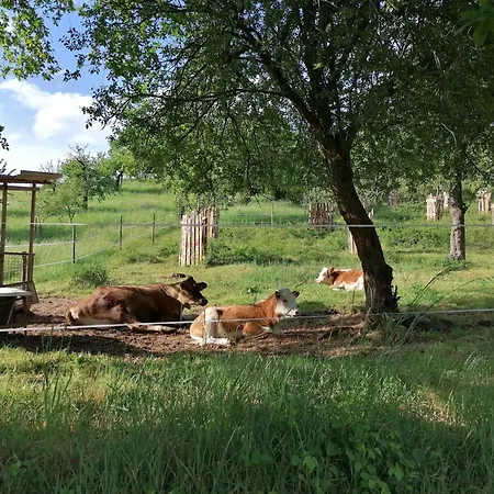 An Der Kapelle Annweiler am Trifels