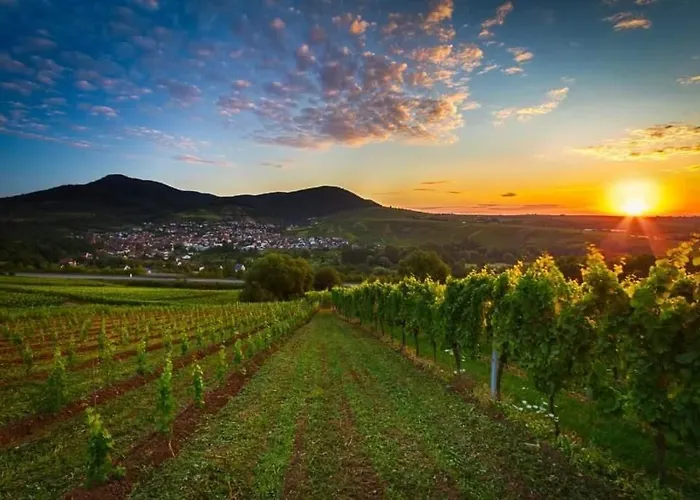 An Der Kapelle 아파트 안에일러 앰 트리펠스