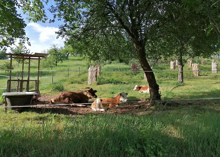 An Der Kapelle 안에일러 앰 트리펠스